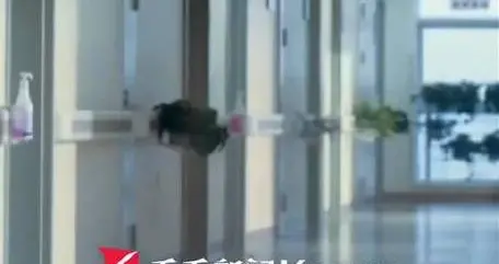 放射科主任伙同女友受贿2392万元
