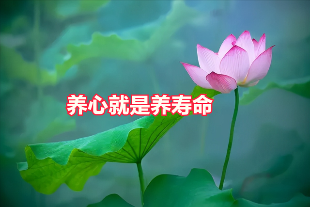 养心就是养命，张仲景养心脏的专方！化解心悸、胸闷、心律不齐