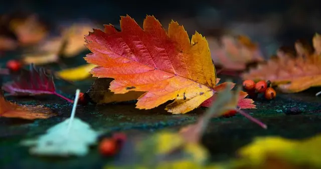 错过爆款？三步教你抓住下一个“日赚20万”的机会