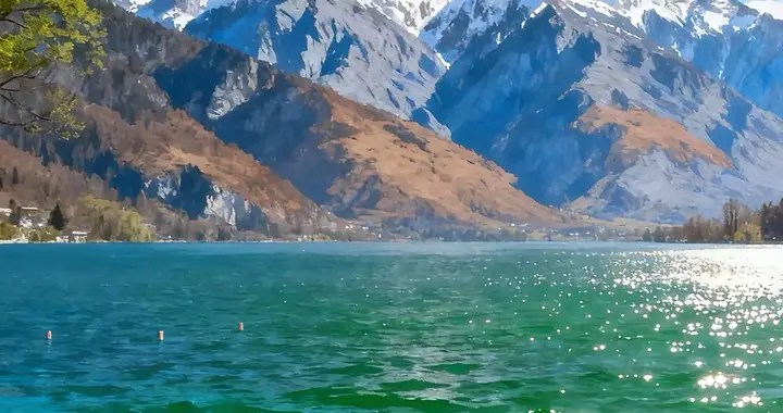 诗歌‖相思一杯酒