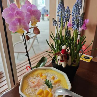 不日远游Parker：老狐狸才明白的人情