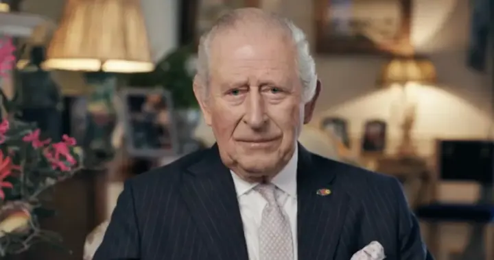 威廉王子松了口气！查尔斯国王宣布最新抗癌进展，2026年缩减治疗