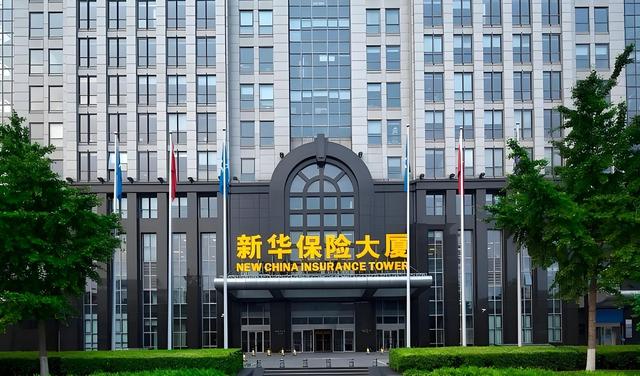 新华保险加码耐心资本，再投100亿
