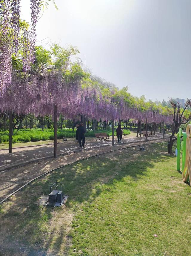 来上海这里，一站让你玩遍江南。园林老街、博物馆、特色公园配齐