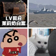 希望从LV这个打头炮的开始所有的奢侈品包包企业跟进口汽车一样的下场，被...