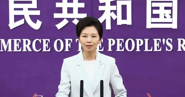 14对14！中国以牙还牙20个小时完成反击，中欧交锋让中国越打越强