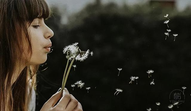 真心劝你：停止喂养你的坏情绪