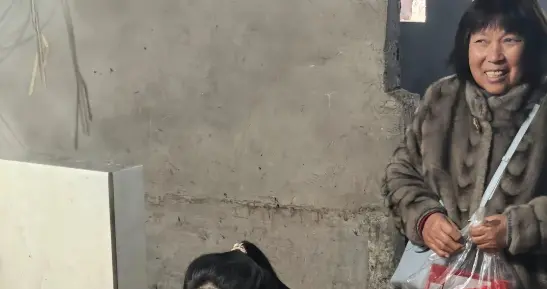 千人杀猪后续：红衣女子砸场子，呆呆哭了，无人帮忙，全都在直播