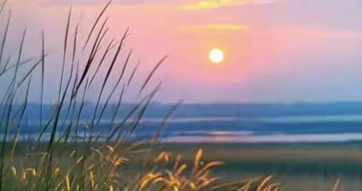 我满心都是你啊！