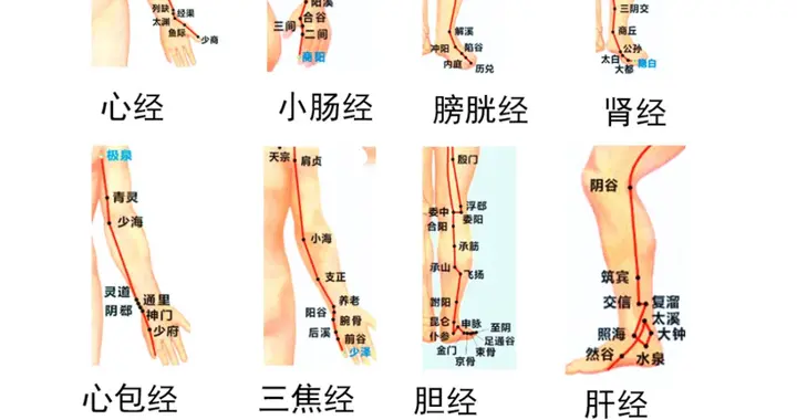 人体十二经络与常用穴位大全：高清图解，一看就懂！