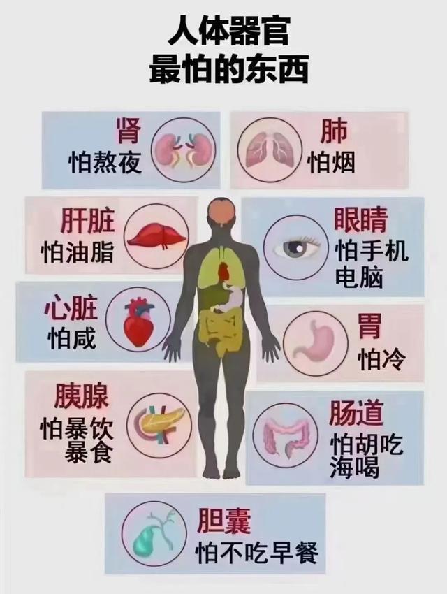 手麻、脚麻、腿麻、胳膊麻，一个神方就能搞定，马上收藏起来吧