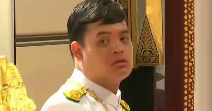 母亲被贬、姐姐离世、身处漩涡的提帮功，真的想当这个“王储”吗