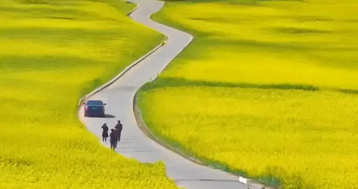 《岁月长河中的双七十古稀，相守五思》
