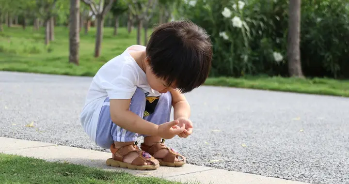 自闭症孩子和性格内向孩子面对同样的问题，会有怎样不同的应对