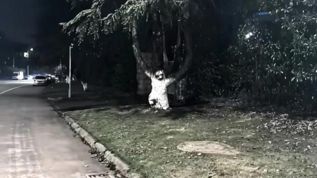 趣味娱乐吧：晚上出门散步时，被前面白色的