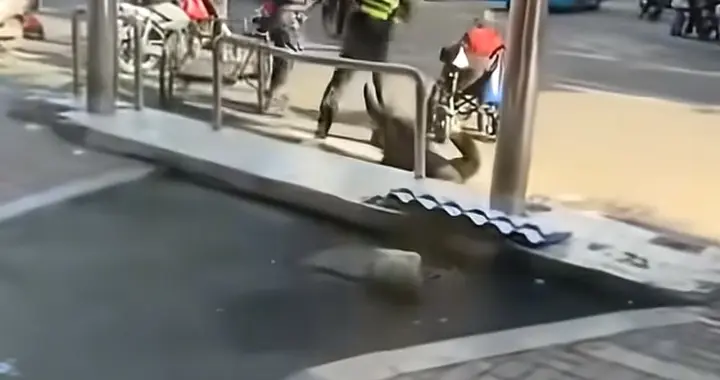 老人与城管争执被推倒在地送医抢救无效离世，涉事城管被刑拘