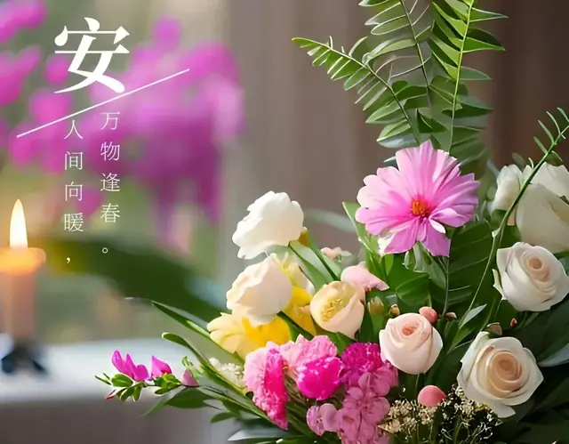 万物逢春，人间向暖