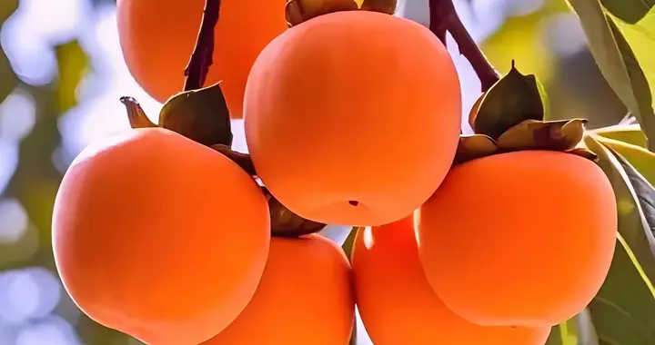 诗歌‖冬雪，诗的留白