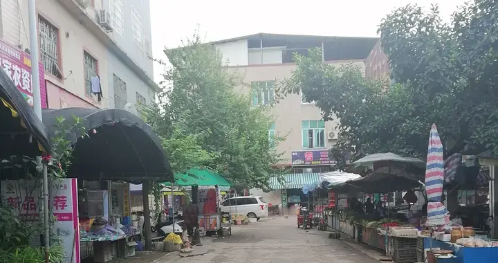 广西南宁市宾阳县洋人建桥而得名的乡镇，名气很大为何没有宾馆？