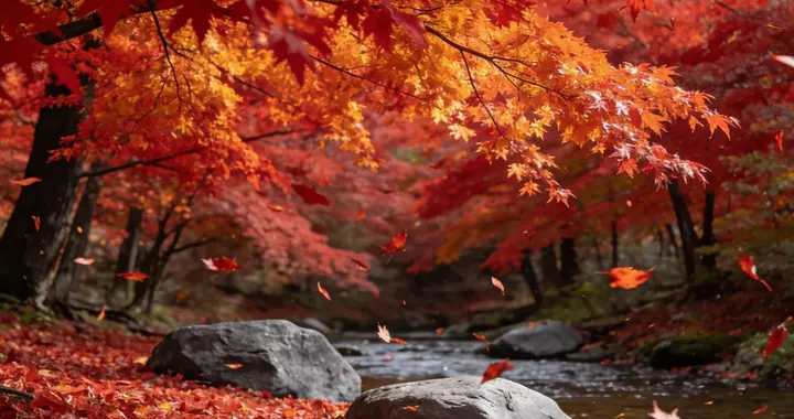 谁懂啊！装修踩坑3次