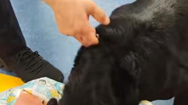 吃瓜小娱记：韩国济州机场出了件好笑的事