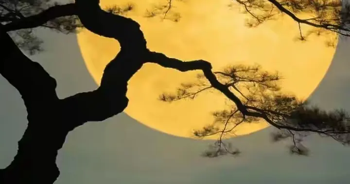 《静心赋》不是关于安静而是关于冷静