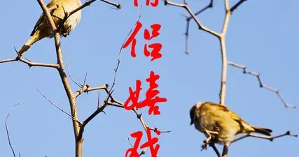 40岁大姐坦言：女人愿意把隐私展露给丈夫，藏着婚姻最真实的人性