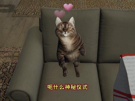 恶搞之家来了都得拜下风‌的地步