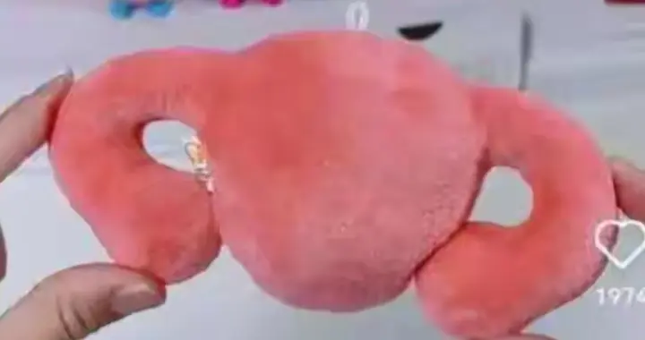 沪上阿姨送器官玩具！说关爱女性，咋看都觉得不得劲