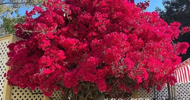 人到六十岁，怎么看待自己没有价值，怎么看待别人的疏远呢？