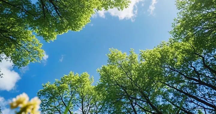 持有中国中车4000股，19元割肉亏1万6，跑得快才没亏到只剩裤衩