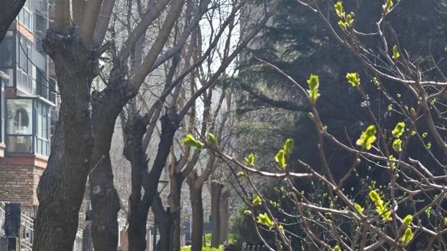 八月文山：很多人做产品、做副业，天天绞尽