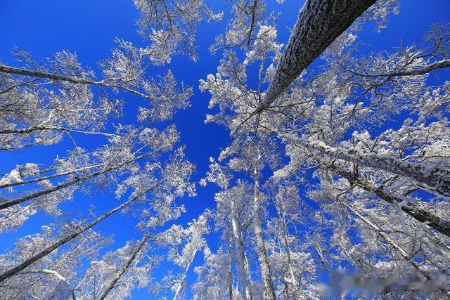 北方的春天总是来的比南方晚一些