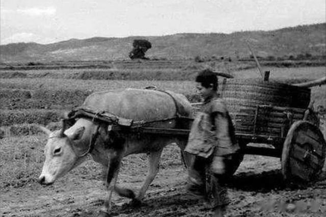 这个小伙不得了，抗战时期，他居然夜潜日军火库，盗出子弹2万发
