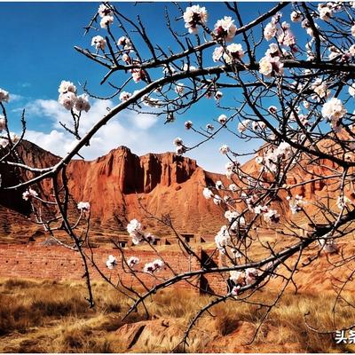 我家鹤儿： 聊热点，甘