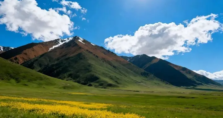 人生十大定律：通透处世的生存智慧