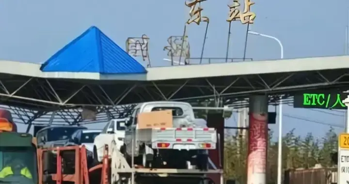 21车冻货偏航泌阳，局长被留置，30万牛副7万拍卖，一查到底