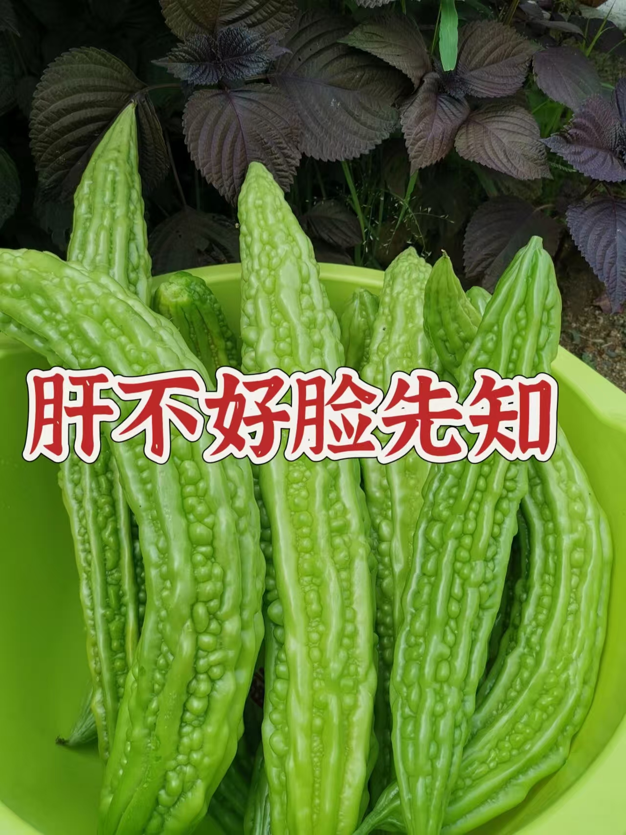 肝不好脸先知❗️女性养肝要多做肝喜欢事情