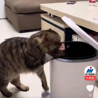 红花月季：这段内容描述的是一位博主养了三