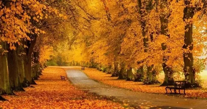 乳腺癌，如果出现疼痛，就要怀疑骨转移吗？