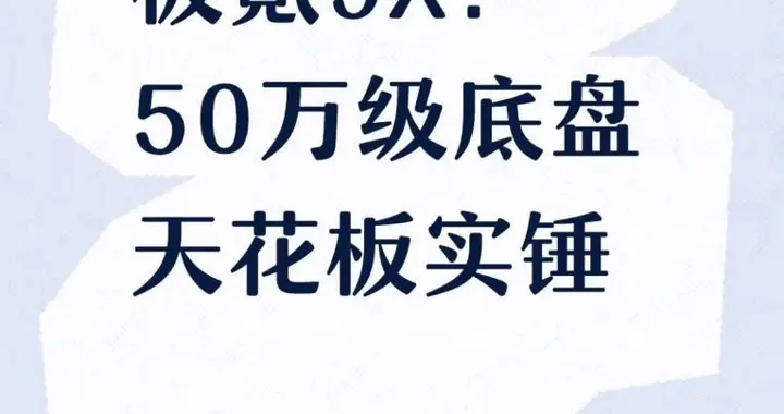 极氪9X：50万级底盘天花板实锤