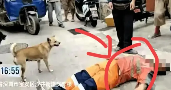 嚣张男子当众殴打女环卫工，坚决拒绝和解，真实身份曝光令人心惊