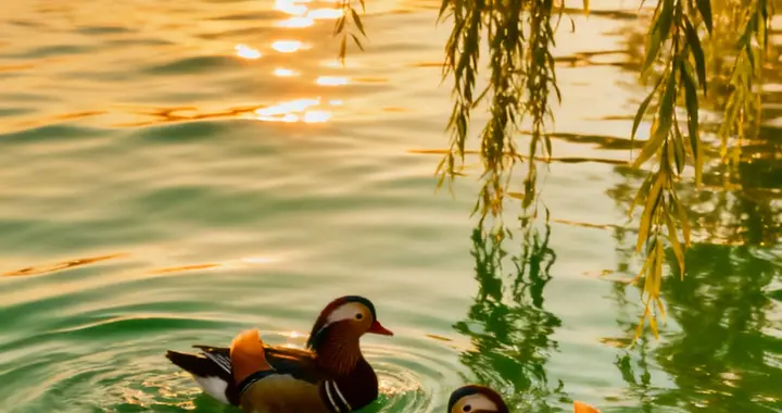 女孩，你可以有公主梦，但也要有成为女王的勇气。