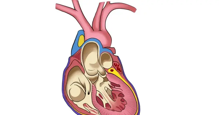 心梗来临前，身体会喊痛！身上5个部位疼痛，十有八九是血管堵了