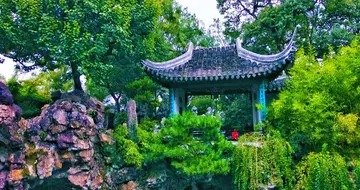 拍卖市场流通的剑南春股权：价值与风险深度研判