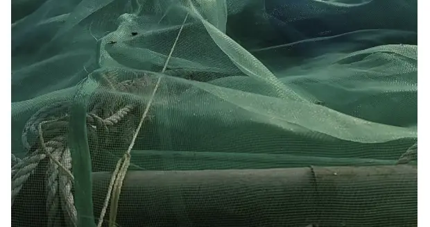 时代一粒灰，个体喜与悲