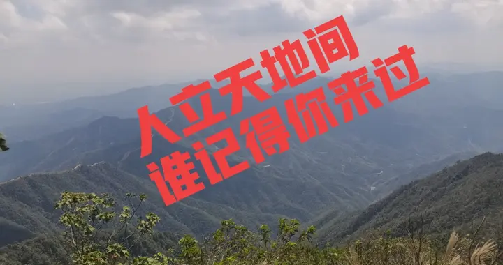 人的悲哀是好好地活着却没有人在意你。