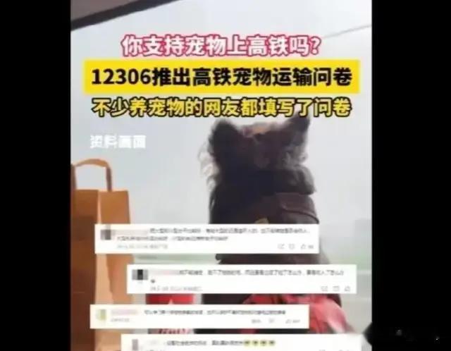 宠物狗上高铁要谨慎，最大的弊端是会增加更多对立和矛盾！