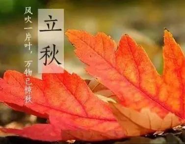俗话说“立秋一场雨，好比秀才中了举”啥意思？有道理吗