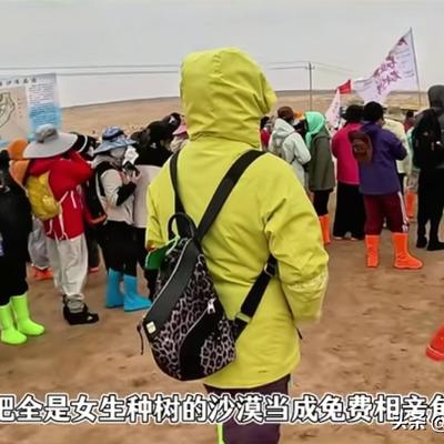 幸福卡梅尔3S：民勤种树变相亲角？十个勤